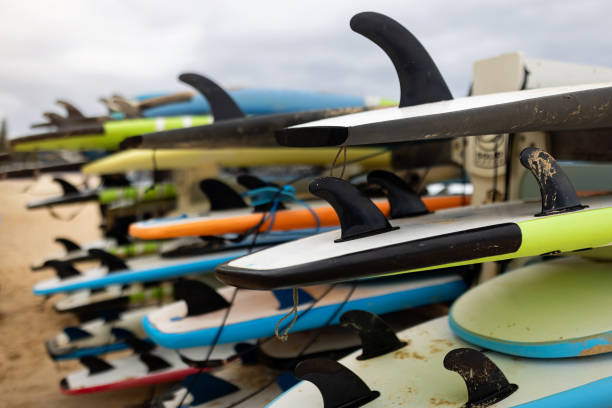Variety of surfboards with fins neatly arranged on a rack.